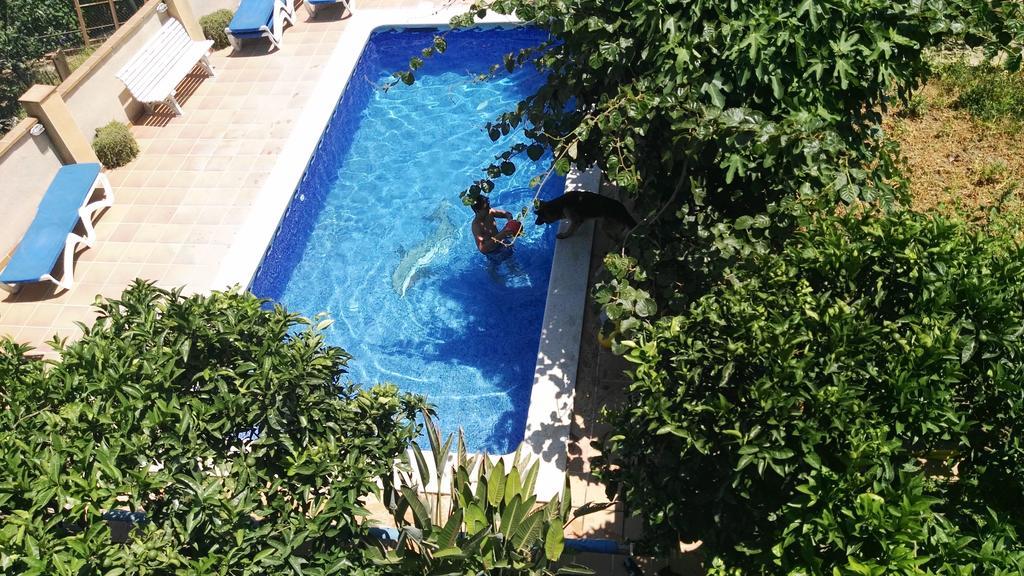 Apartamento Mar Y Montana Argentona Exterior photo