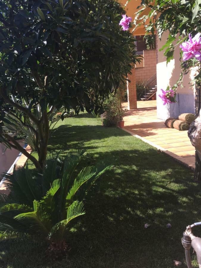 Apartamento Mar Y Montana Argentona Exterior photo